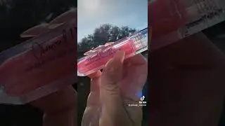 PHYSICIANS FORMULA DIAMOND PLUMPER lipgloss #makeup #beauty #influencer #physiciansformula
