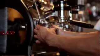 Buddy Brew Coffee - Roastery & Coffee Bar