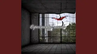 Experimental Records