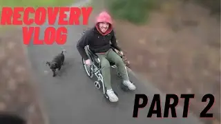 Gaming, New Bandages & Another Dog Wheel 🦽 Knee Surgery Recovery (Part 2)