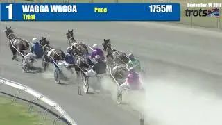 WAGGA - 14/09/2018 - Race 1 - PACE [Trial]