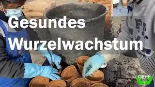 Biologisch abbaubare T&ouml;pfe
