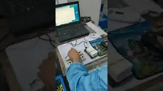 RFID animal ear rag produce in factory