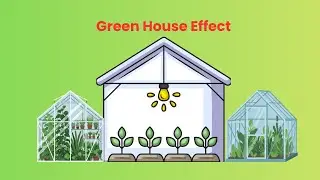 Greenhouse Effect Explained | Causes, Gases, Global Warming & Climate Change