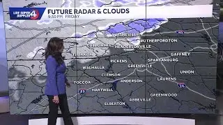 Afternoon Flurries