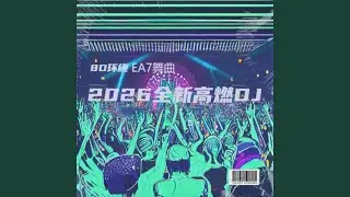EA7电音节舞曲 高燃DJ 8D环绕
