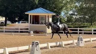 Delcina and Kerri-Lyn Corry at Region 1 GAIGS Lexington Virginia First Level Test 3 Championships