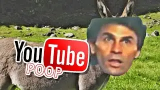 YTP: Return of the Ass