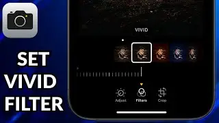 How To Set Vivid Filter In iPhone