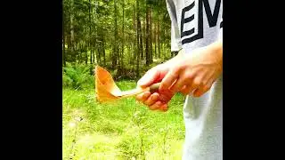 How to Make a Birch Bark Cup #bushcraft #diy #shorts #outdoors #camping #bushcraftskills #cup @EMPI