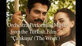 Orchestra Performing Music from the Turkish Film &ldquo;&Ccedil;alıkuşu&rdquo; (The Wren) #music #t&uuml;rkiye #&ccedil;alıkuşu