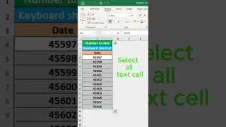 Convert number to date in MS Excel #exceltipsforjobinterview #excelbangla #exceljobinterview