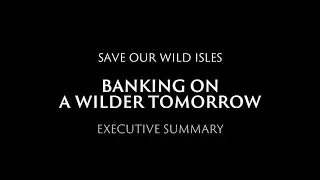 How can greening our investments solve the nature crisis? Executive Summary
