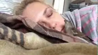 Phoebe the Sparrow