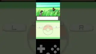 New Year's New Journey with New Generation Pokemon HeartGold #1
