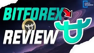 Bitforex Exchange: Your Key to Cryptocurrency Trading! 🚀💰