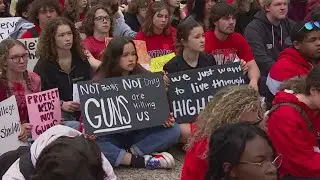 Nashville students, community hold protests against gun violence