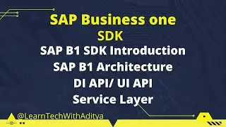 Sap business one SDK introduction | SAP Business one SDK Architecture | Learn Tech with Aditya