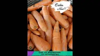 Elements Organic Store | Calicut | Fresh Veggies |