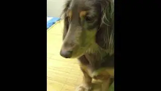 IMG 7771