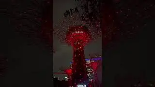 One of the highlight whenever you visit #Singapore. #supertree #marinagardenssingapore