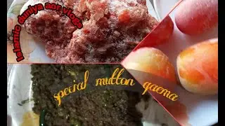 Mutton  Matt qaema