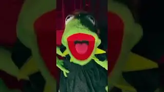 &ldquo;Cell Block Tango&rdquo; from Chicago: The Musical #chicagomusical #chicago #cellblocktango #themuppets
