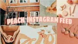ᴴᵒʷ ᵗᵒ ʰᵃᵛᵉ 𝗣𝗲𝗮𝗰𝗵 𝗮𝗲𝘀𝘁𝗵𝗲𝘁𝗶𝗰 🍑🍑( instagram, vsco)