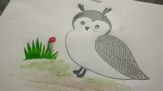 how to draw a 3 number drawing ullu #ullu #drawing