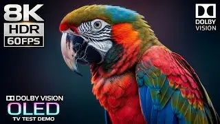 Planet of Animals | Ultra Clear Wildlife in 8K HDR | Relaxing Nature Video