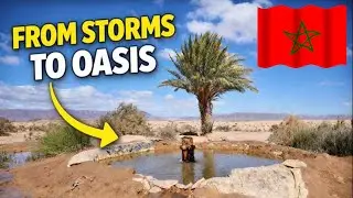 Dust Storm Escape! Campervan Morocco 🇲🇦 Camels, Hot Springs, Flamingos & Amtoudi Gorge