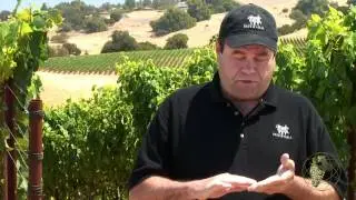 Atlas Vineyard Management-What our Clients are Saying...