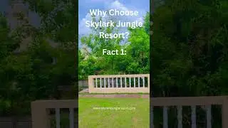 Skylark Jungle Resort