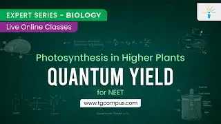 Quantum Yield | Photosynthesis in Higher Plants | NEET | Biology - TG Campus