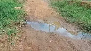Fazendo uma caminhada na comunidade quilombola no município de Vitória da conquista Bahia