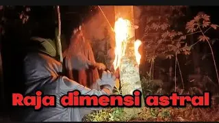 POHON BERTUAH JADI TEMPAT PESUGIHAN