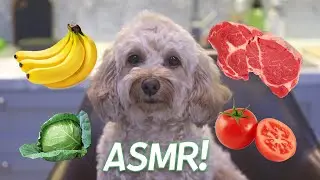 ASMR DOG TRYING VEGETABLES & MEAT (MUKBANG)