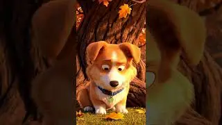 Pax and the Last Leaf 🍂🐶 | A Meaningful Pixar-Style Short Film #pixarstyle #corgi #paxthecorgi