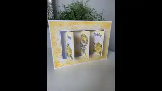 Pink Frog Crafts on Hochanda Hazel Eaton & Paul Pascual 13.12.20 4pm Rose & Textures Stamp Sets