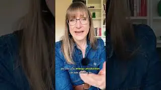 MTHFR Mutation & Fertility: The Missing Piece