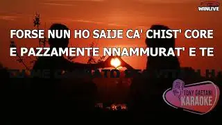 NIino Fiorello COLPO DI FULMINE (Base Karaoke con testo) by Tony Gaetani