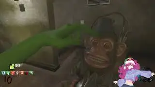 Silly modded BO3 VOD