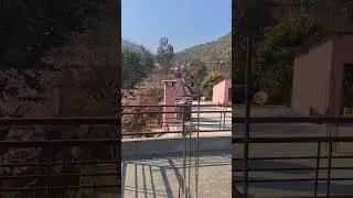 Local fair