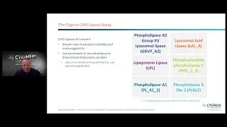 Best Practices in Host Cell Impurity Analytics