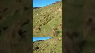 Low Flying Drone Hits Hill and Soars