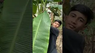 Mahula Pitha Recipe 🤤||#odia #shorts #viral #trending #foryou #pitha #minivlog