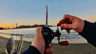 BAY FISHING 101 - Golden Gate Bridge  