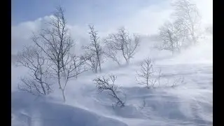 Extreme Winter Storm Sounds for Sleep, Relax, Reading & Focus