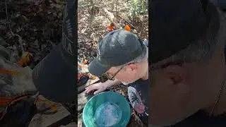 Part 3 family friends claims find gold still find cool rocks 🪨