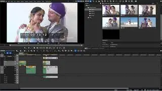 Edius वीडियो  Ep  5 Cut, Copy, Paste, Replace Clip in Edius Pro 9 in Hindi by Raju Jiyani